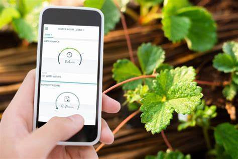 Priva klimaat app bij aardbeienplanten