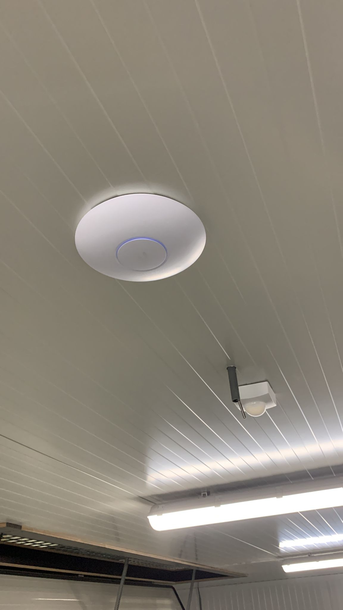 Unifi wifi accesspoint gemonteerd aan een plafond