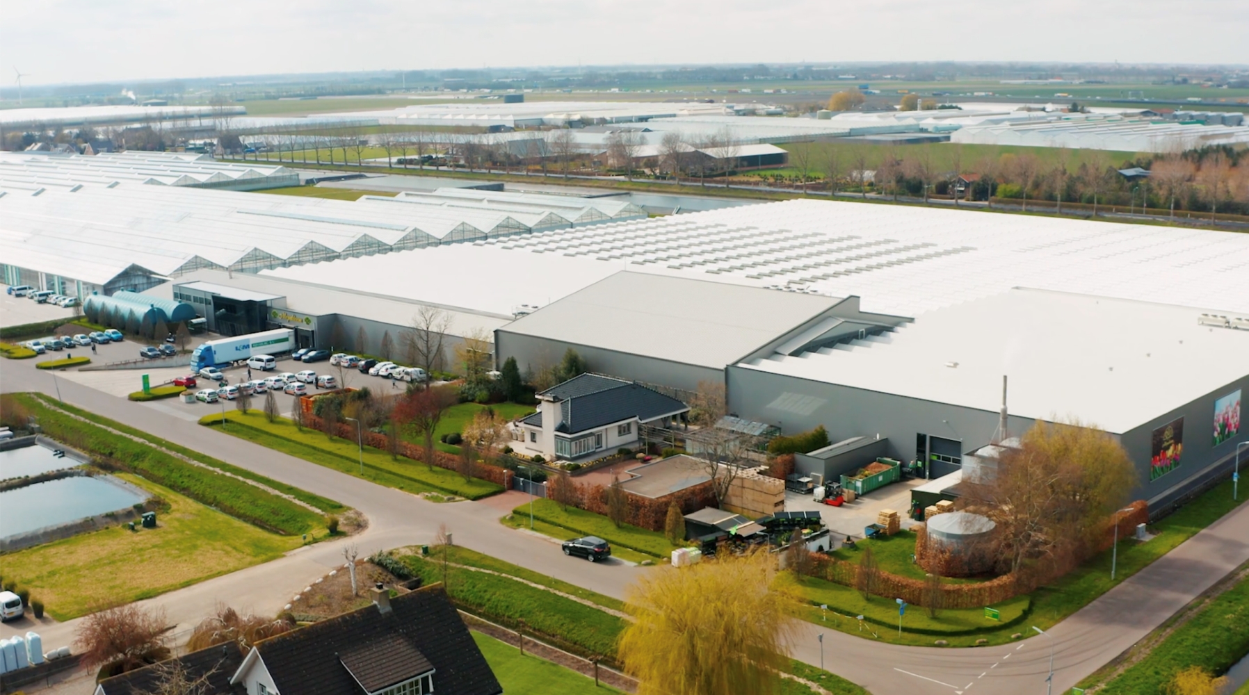 🌹 Maatwerk software voor rozenverwerking bij Mopabloem